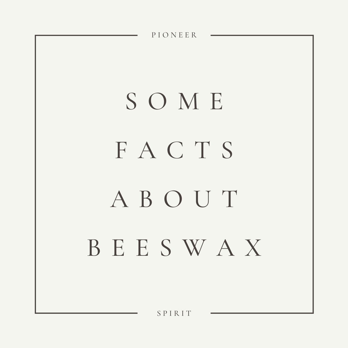 Learn the Facts About Beeswax EcoFriendly, NonToxic, and Sustainab
